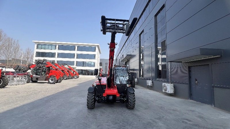 Customized Mini Diesel 6m 7m 1 - Telescopic Handler Boom review and price