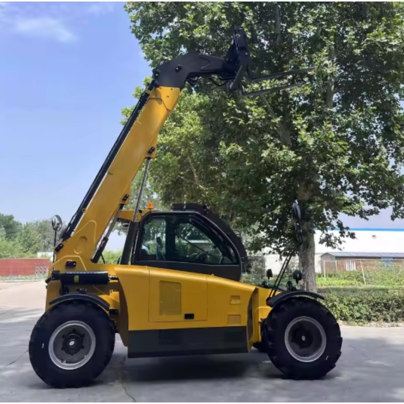 Customized High Quality Teleha - Telescopic Handler Boom review and price